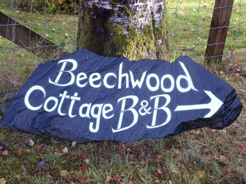 Beechwood Cottage B&B Гленко Екстер'єр фото