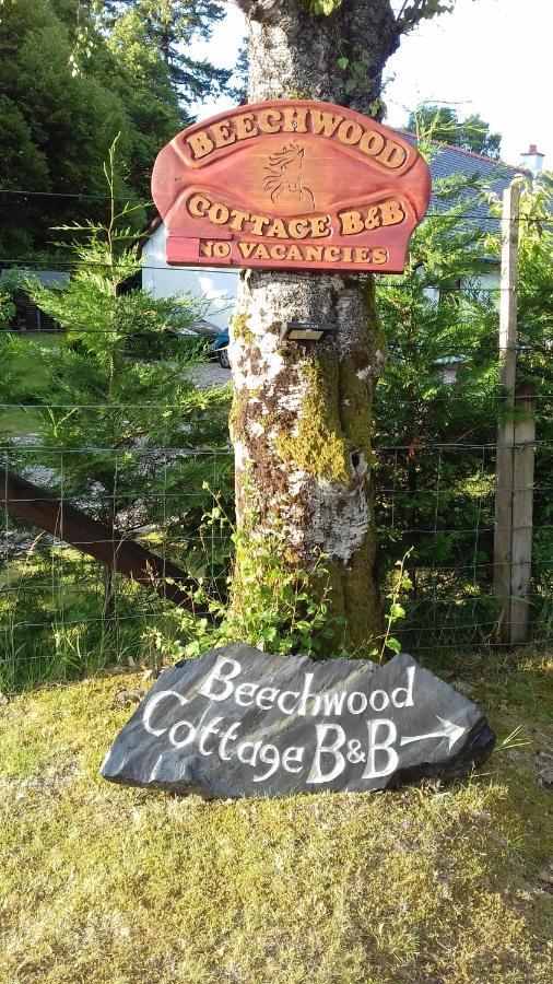 Beechwood Cottage B&B Гленко Екстер'єр фото